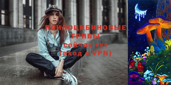 молекула духа Алексеевка