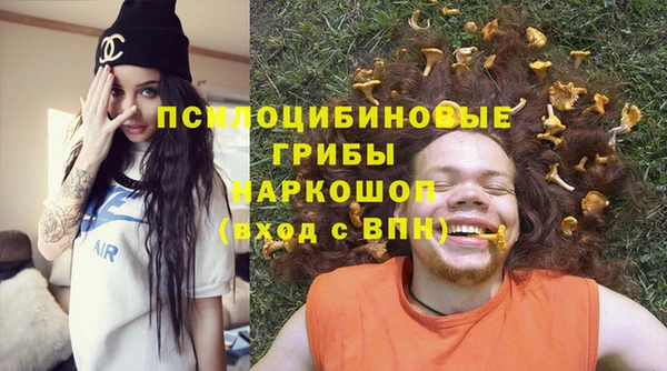 apvp Алексин