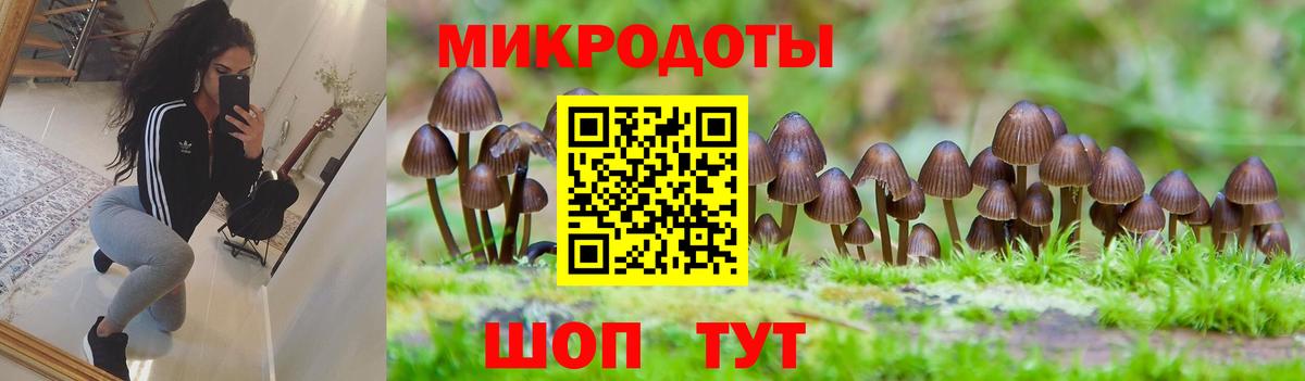 Псилоцибиновые грибы GOLDEN TEACHER  где купить наркоту  Анжеро-Судженск  Вход с VPN  Псилоцибиновые грибы MAGIC MUSHROOMS 